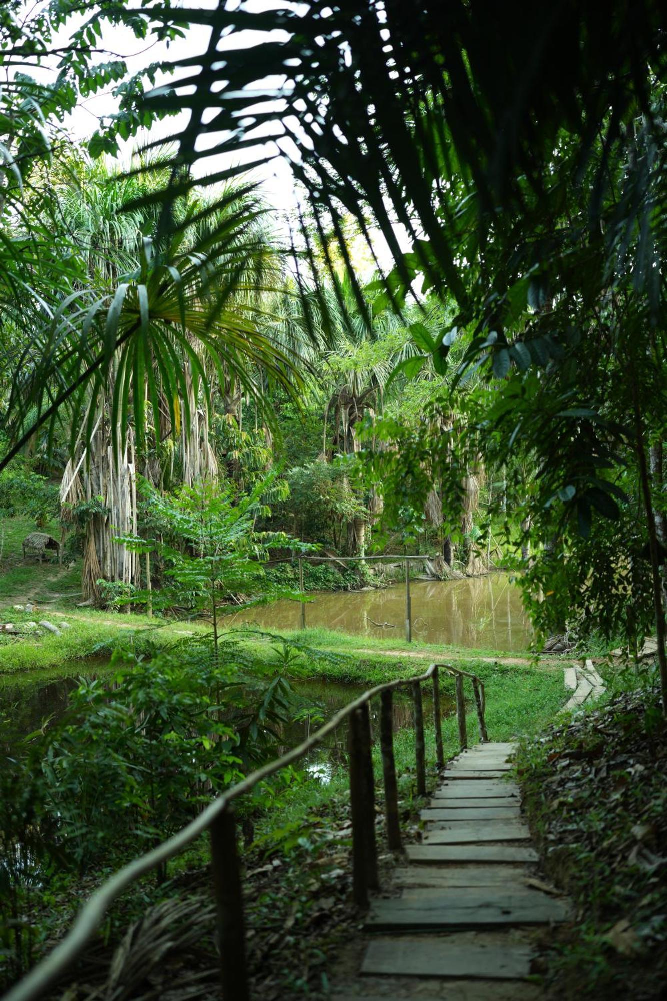 Awaken Amazonian Healing Resort All Inclusive Iquitos Esterno foto