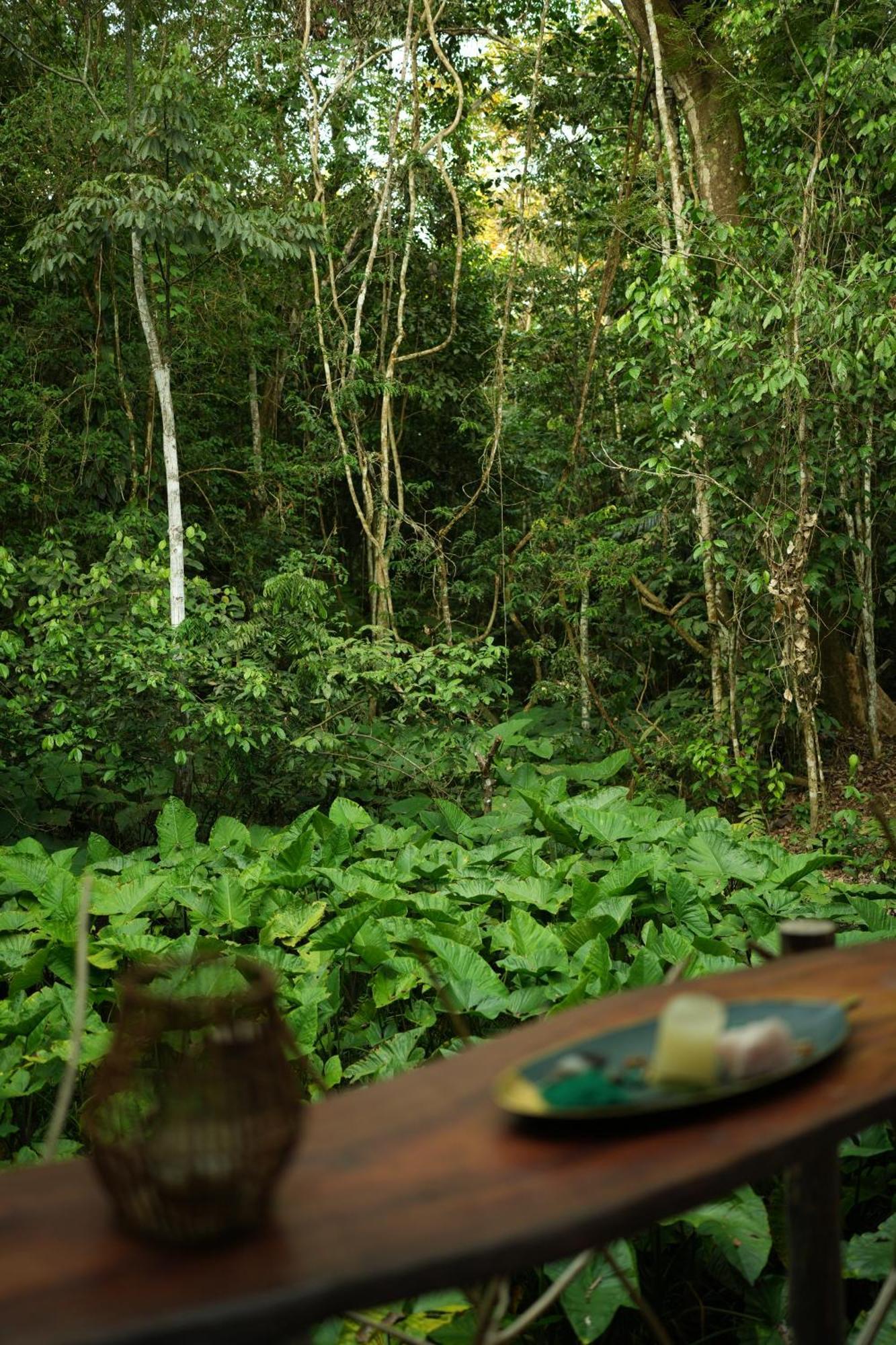 Awaken Amazonian Healing Resort All Inclusive Iquitos Esterno foto